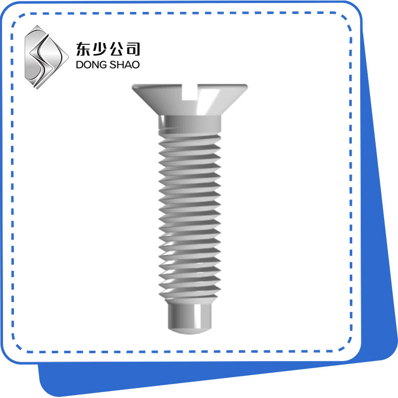 فل ڈاگ پوائنٹ کے ساتھ Slotted Countersunk Head Screws